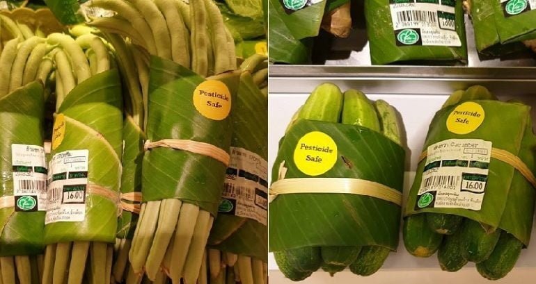 Банановый Лист Фото
