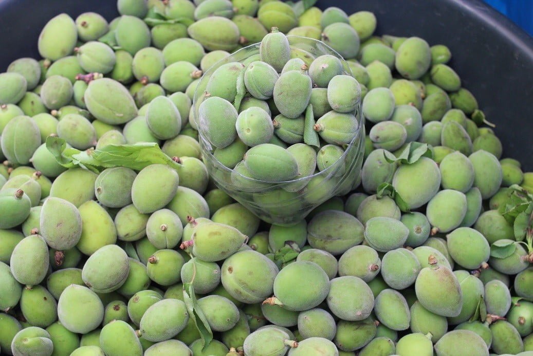 На рынках Таджикистана появились первые фрукты урожая 2019 года - зелёныеабрикосы • EastFruit