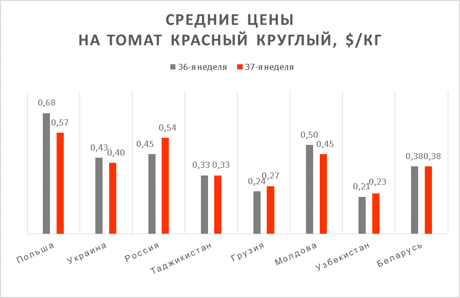 Tomato prices as of September 13, 2019