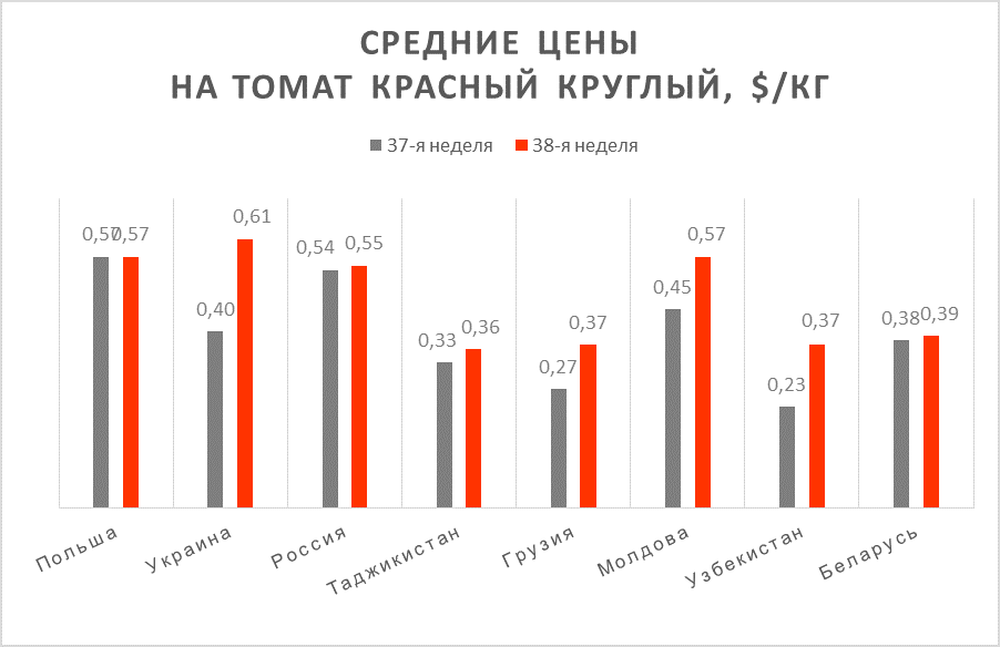 Tomato prices as of Sep 20, 2019