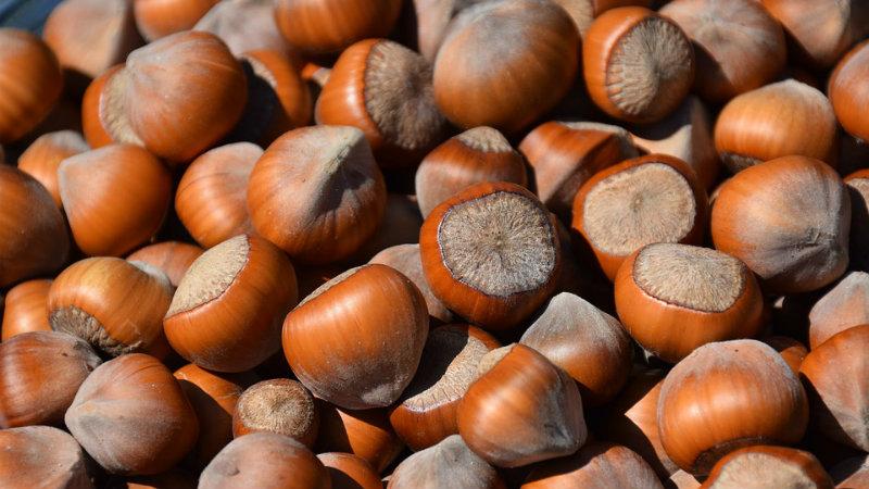 hazelnut-market-increasing-reluctance-among-sellers-eastfruit