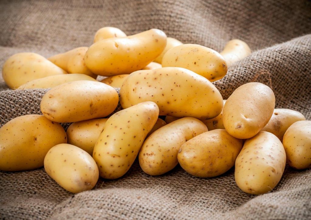 Russian potato market prices are growing every day • EastFruit