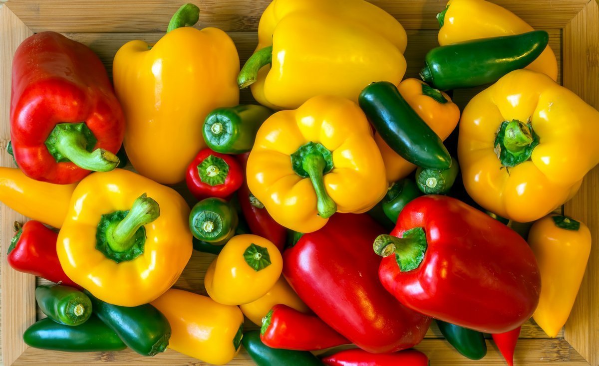 Turkey increased pepper exports by 55% over the past 5 years • EastFruit
