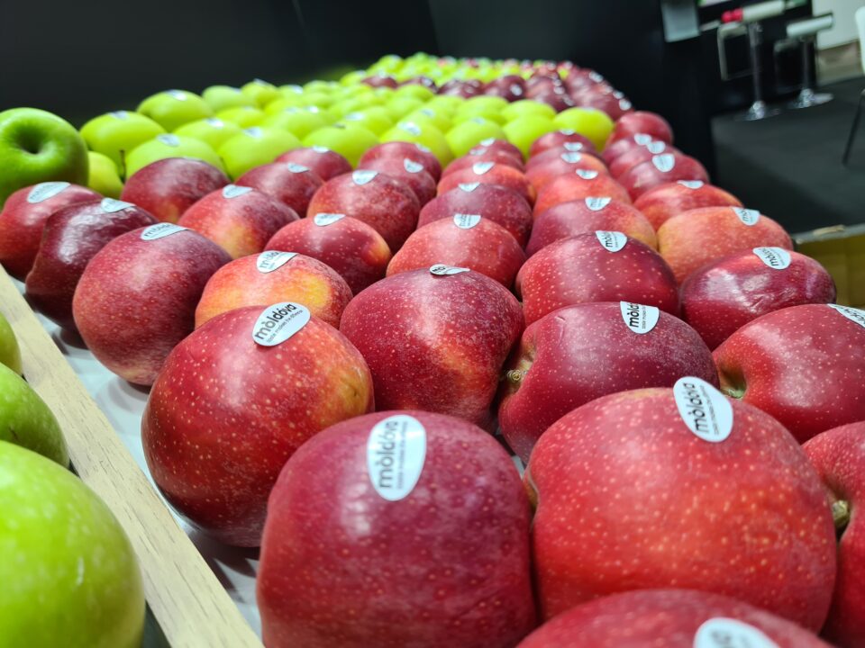 Fresh Apple Fruit, Indian