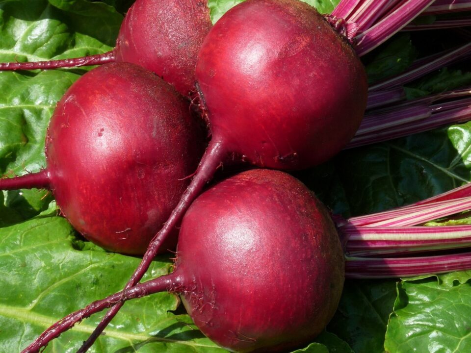 How Much Do Beets Cost 