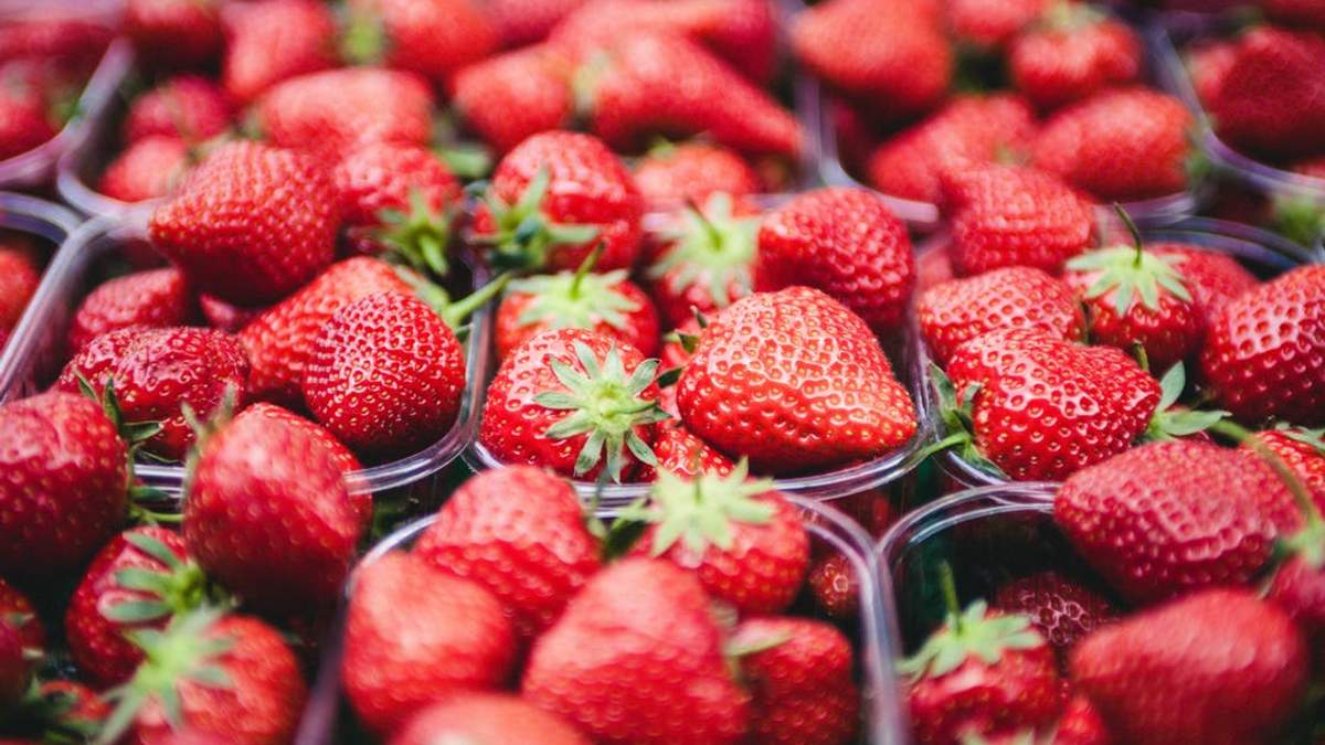 The season of open field strawberries has started in Georgia • EastFruit