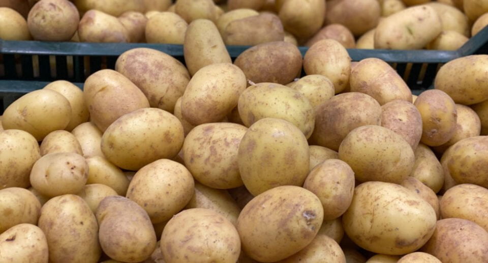 Узбекистан: ранний (молодой) картофель появился на рынке на три недели раньше и стремительно дешевеет • EastFruit