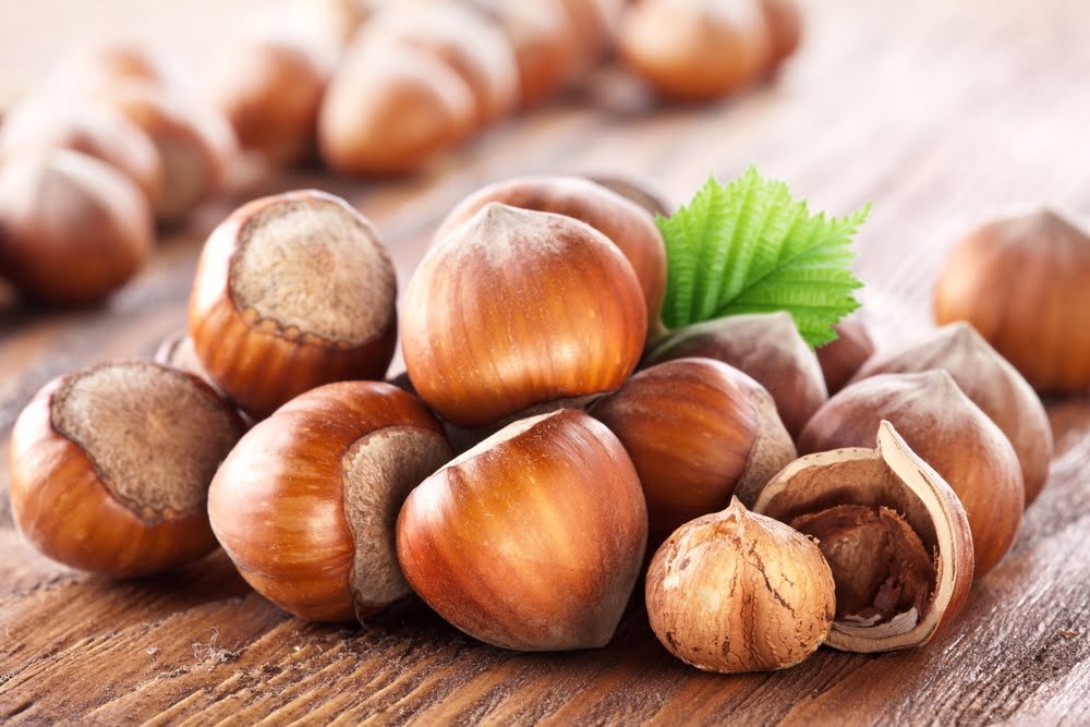 hazelnut prices plummet to fouryear low • EastFruit