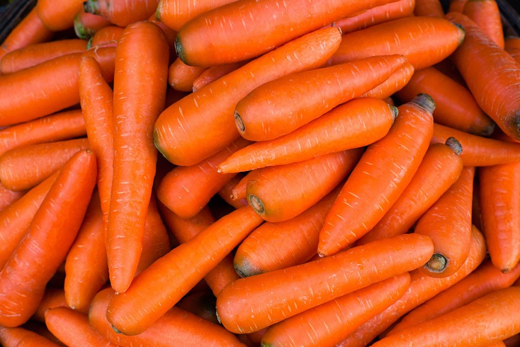 Marruecos exporta zanahorias a España aprovechando la oportunidad de la sequía europea • Levadura