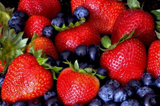 Compania spaniolă Grupo Clasol mizează pe producția de fructe de pădure în România • EastFruit