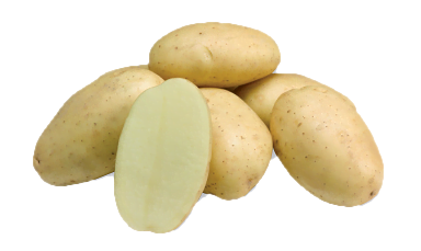 Перспективные сорта картофеля в Украине: что выбирают фермеры • EastFruit