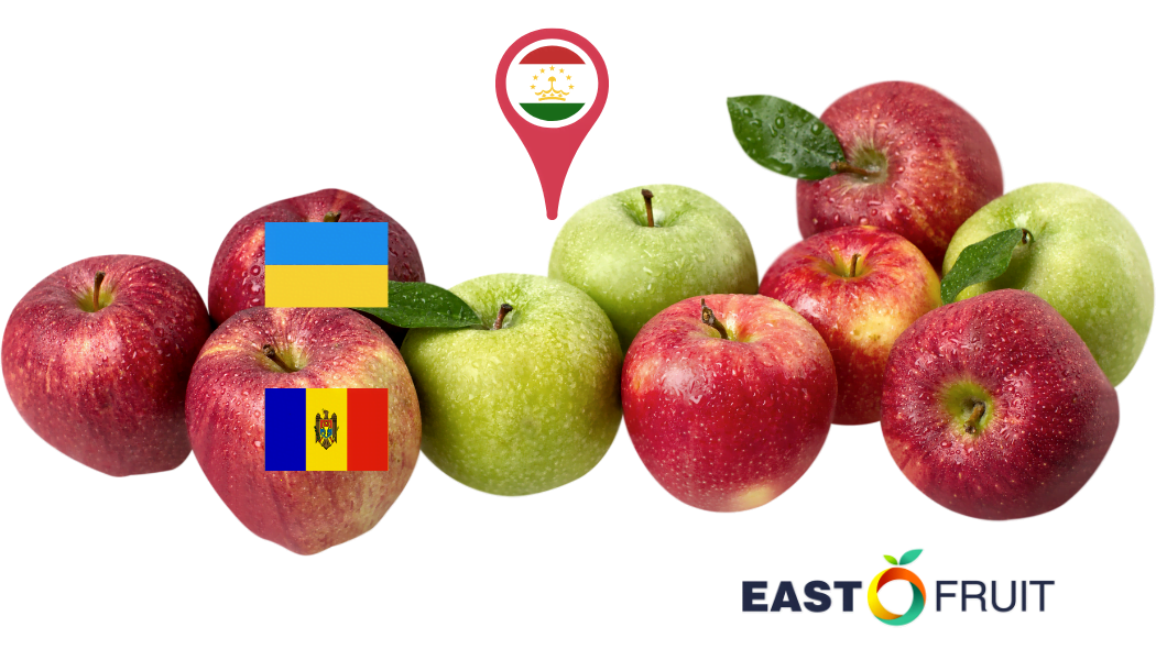 Prices of Gala apples in Moldova are too low for the local farmers but too  high for the EU buyers • EastFruit