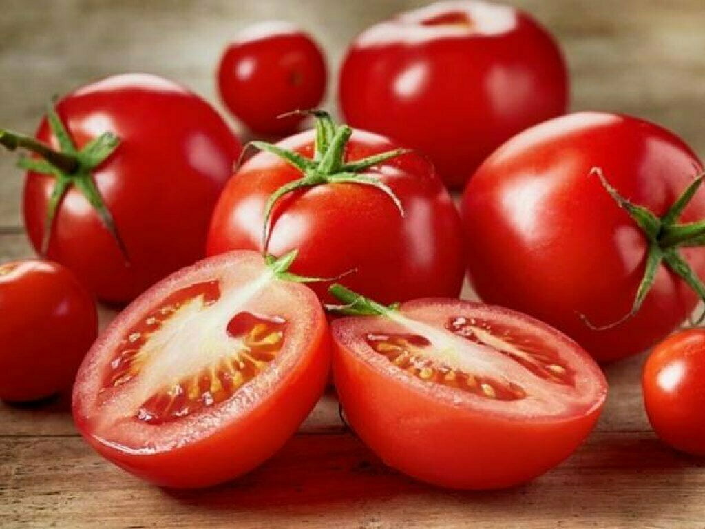 Lokalny sezon pomidorowy w Polsce rozpoczął się z miesięcznym opóźnieniem • Owoc Wschodu