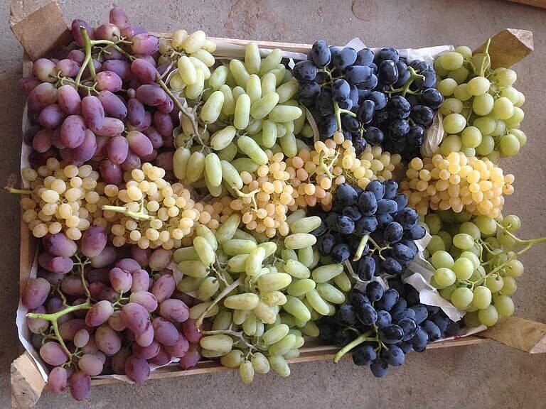 Виноград на столичных рынках Узбекистана: сорта и цены • EastFruit