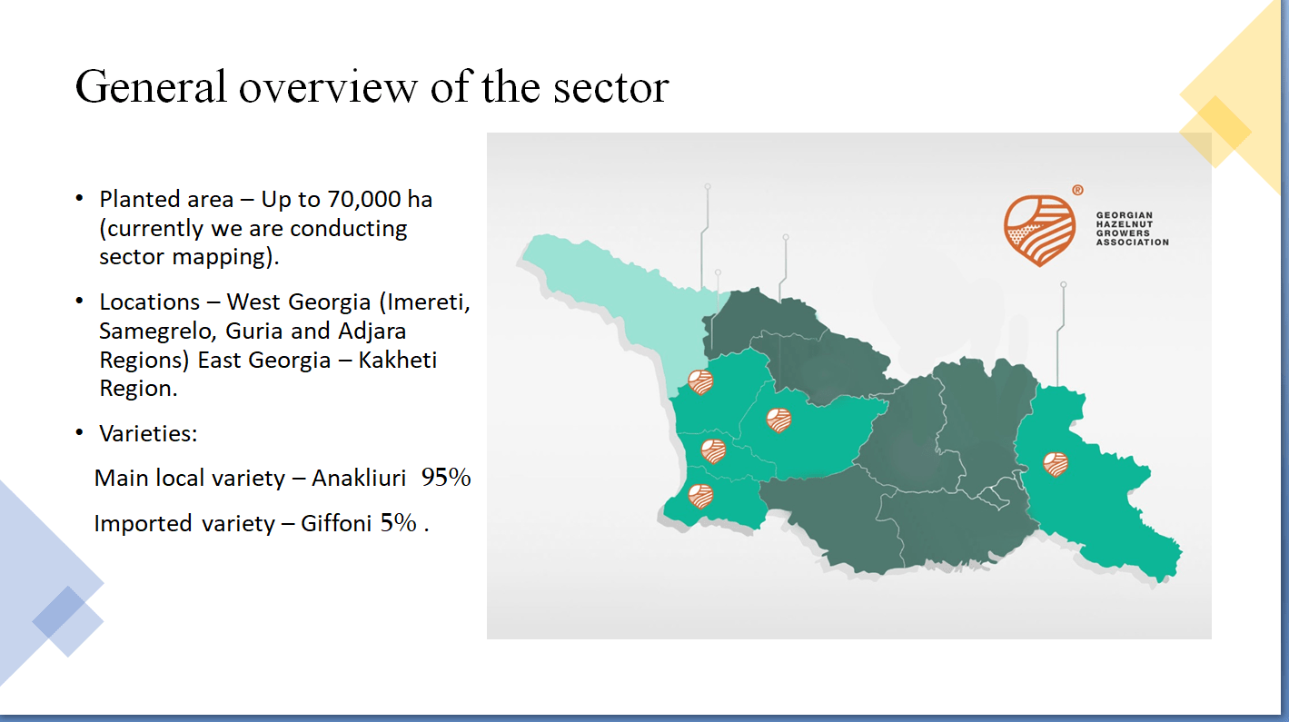 nut growers plan to increase hazelnut production to 100 000