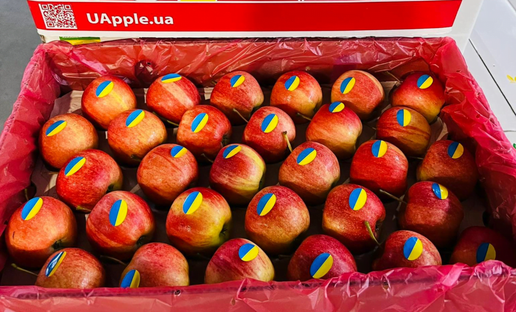 “Sady Dnipra” (Ucrânia) inicia exportação de maçãs para Portugal • EastFruit