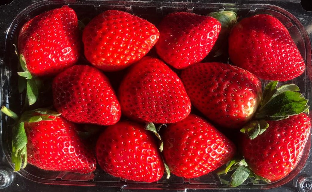 埃及在向马来西亚出口新鲜草莓方面领先，在东南亚进口总量中排名第五 • EastFruit