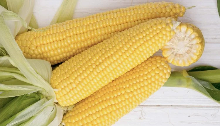 Можно ли есть кукурузу на ночь