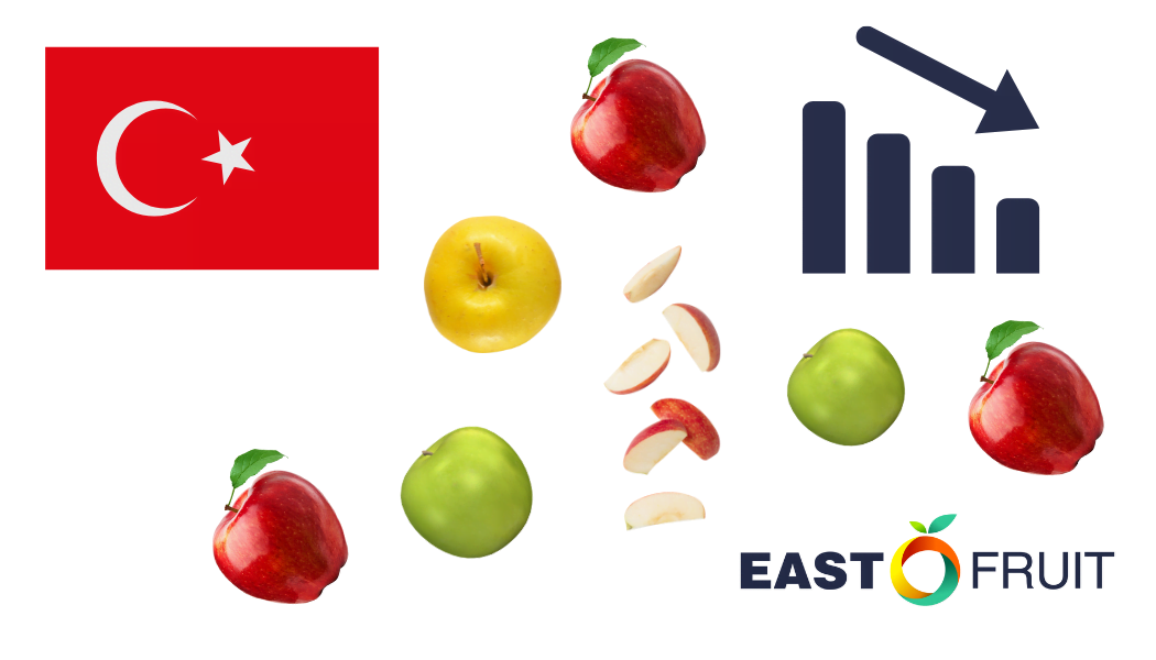 Hindistan’a yapılan ihracat düşerken Türkiye’den elma ihracatı düşüyor • EastFruit