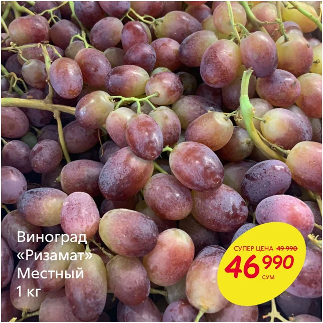 Poama Porn Video - Uzbekistan: At the beginning of the season prices for popular grape  varieties are significantly higher than last year's â€¢ EastFruit