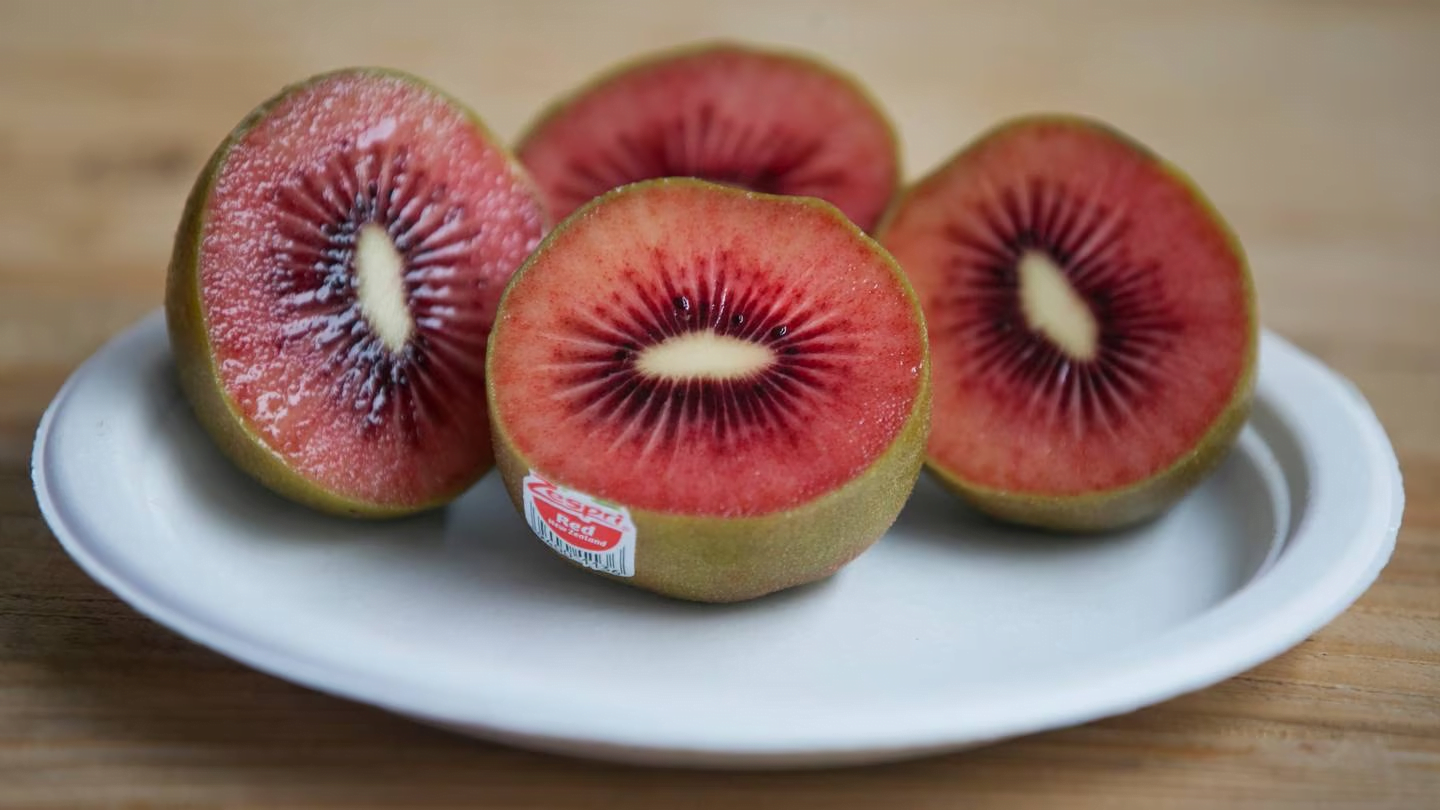Zespri trials Italian red kiwifruit in Belgium • EastFruit