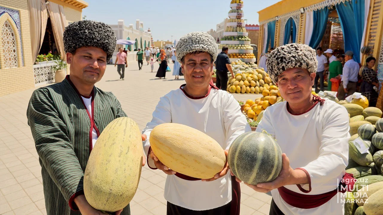 В Узбекистане прошёл фестиваль дыни (фото и видео) • EastFruit