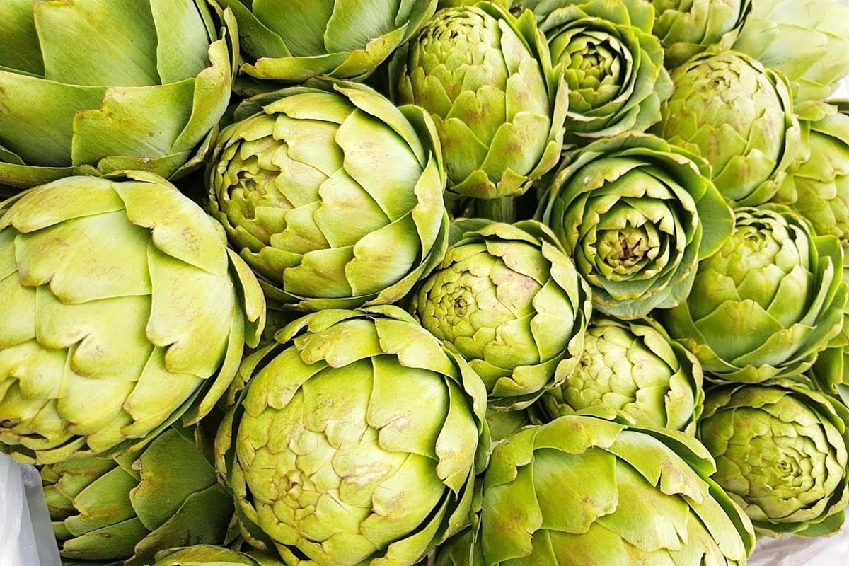 Egypt vs Tunisia: North African battle for the Italian artichoke market ...