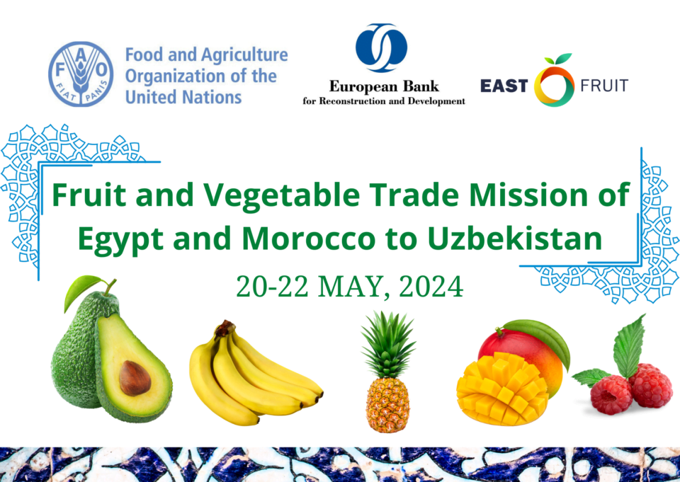 Fruit and Vegetable Trade Mission of Egypt and Morocco to Uzbekistan ...