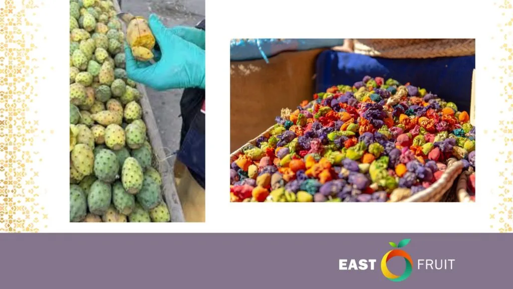 bonsai aus japan kaufen Seedeo® Japanische Schwarzkiefer (Pinus thunbergii ) Bonsai 30 Samen main image 1