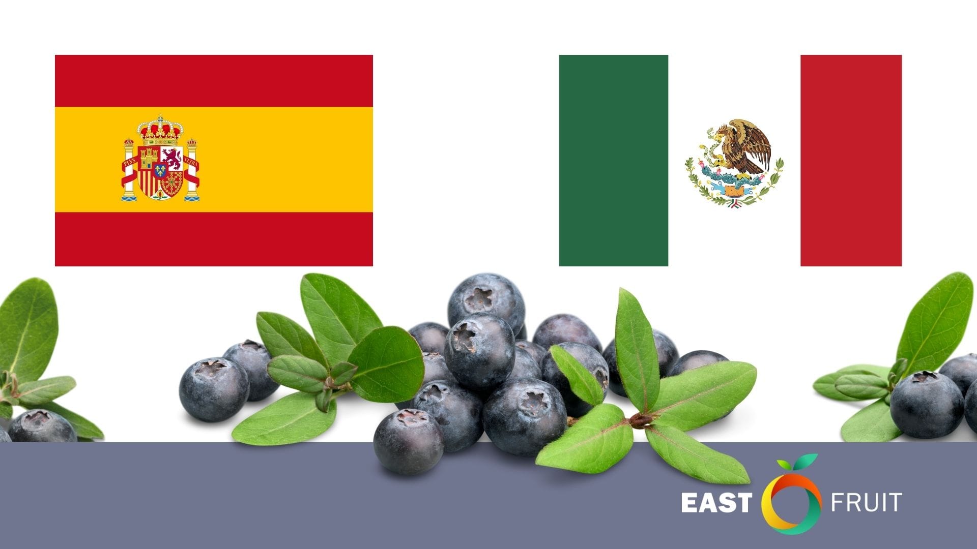 Outlook for Mexico &amp; Spain: Blueberry Twins from Different Continents ...