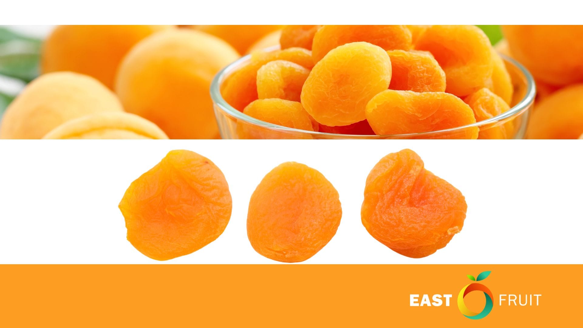 Apricot Apocalypse: Global Consequences of the Turkish Frost • EastFruit