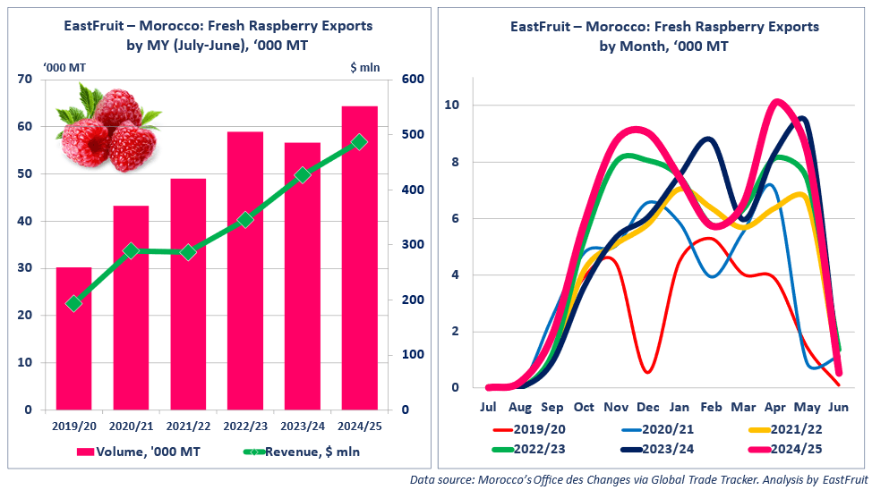 Morocco sets new seasonal record in raspberry exports across key global ...