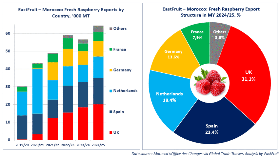 Morocco sets new seasonal record in raspberry exports across key global ...