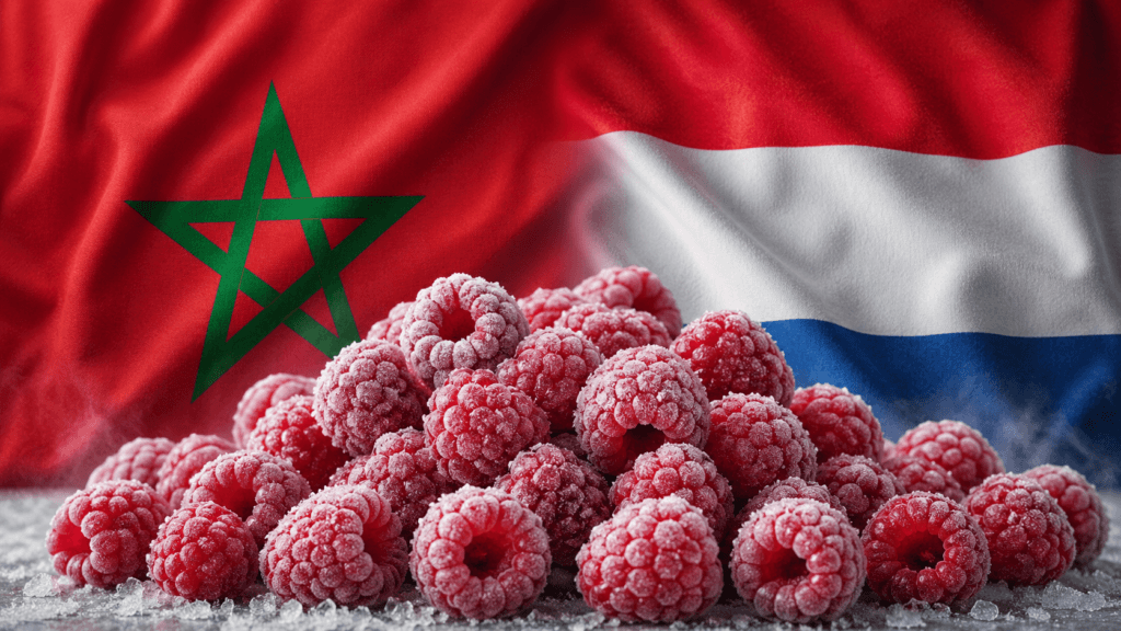 Morocco breaks into Dutch frozen raspberry market with record exports ...